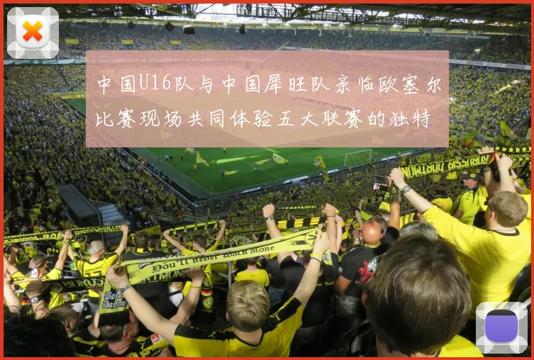 中国U16队与中国犀旺队亲临欧塞尔比赛现场共同体验五大联赛的独特魅力