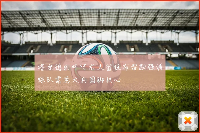塔尔德利呼吁尤文留住布雷默强调球队需意大利国脚核心