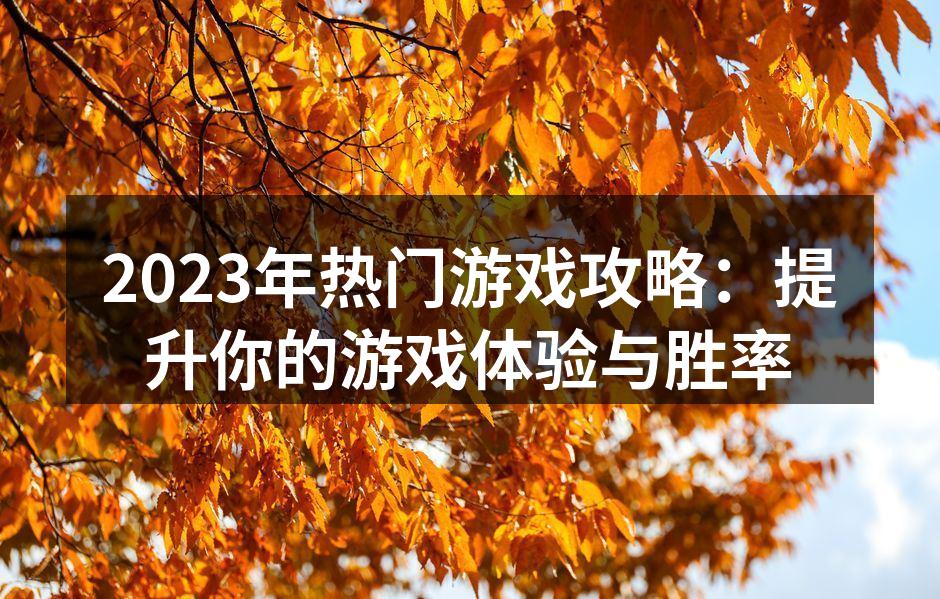 2023年热门游戏攻略：提升你的游戏体验