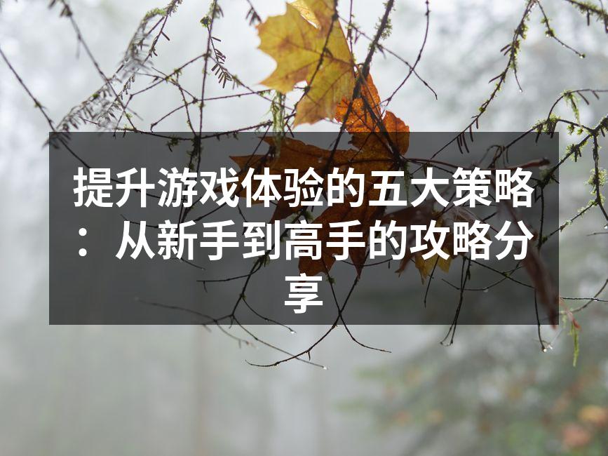 提升游戏体验的五大策略：从新手到高手的攻